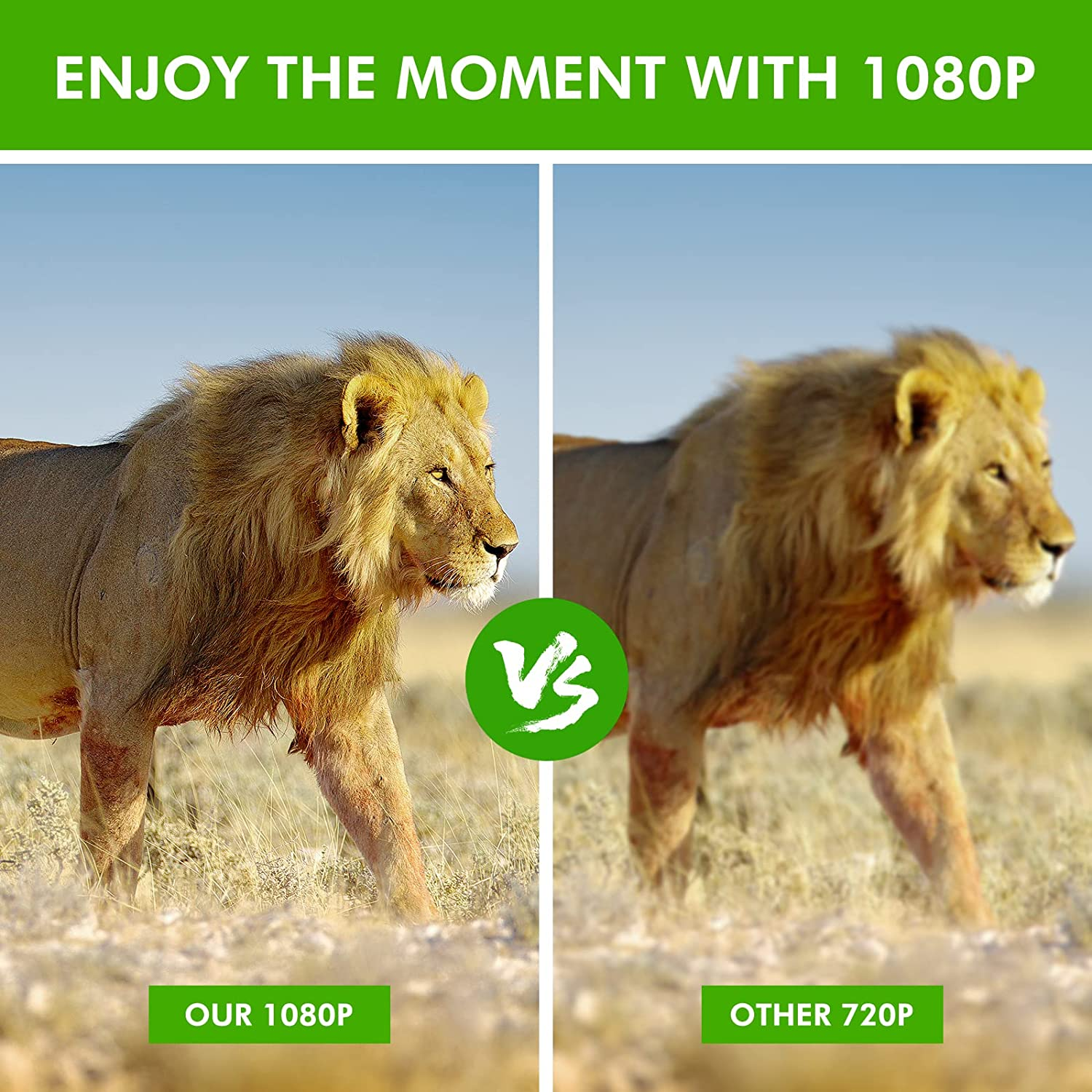 Digital Night Vision Binoculars1080p Full HD Photo & Video Infrared Night Vision