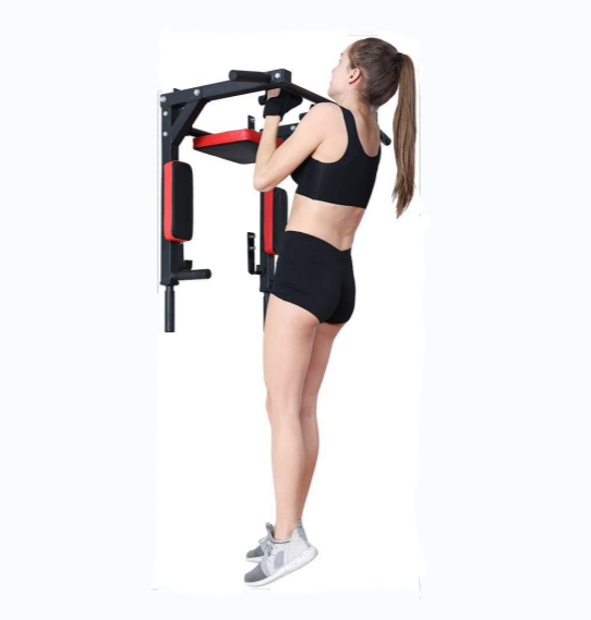 Pull Up Bar and Dip Station