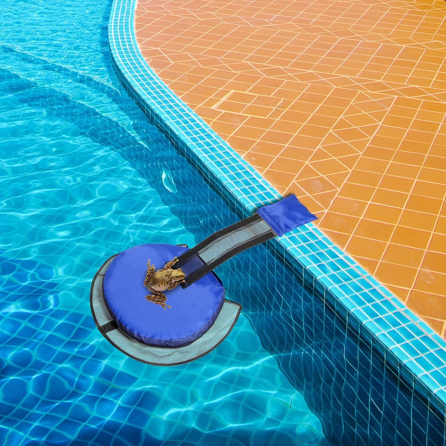 Swimming Pool Frog Saver Accessories Floating Animal Saver Rescue Tool