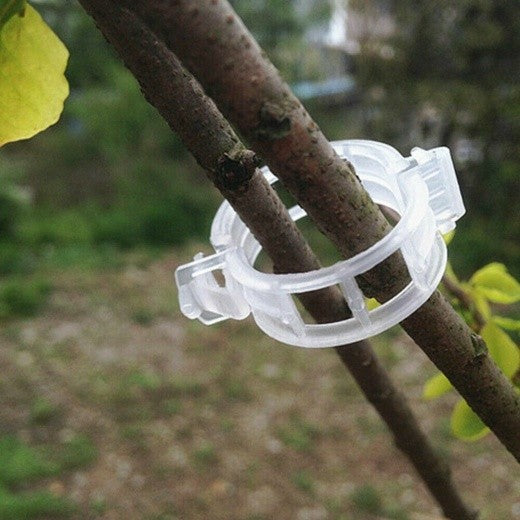 100Pcs Tomato Greenhouse Garden Plant Support Veggie Clips Trellis Twine