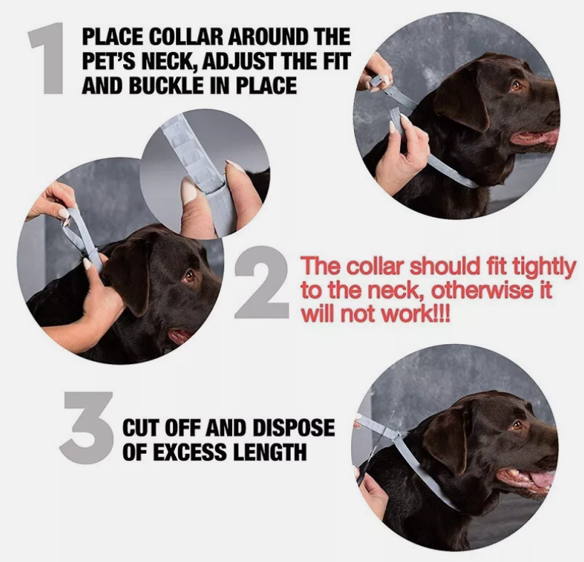 Anti Flea Tick Neck Collar for Dogs Size 63.5cm Protection Adjustables 8 Months