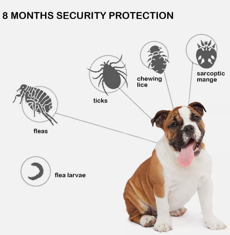 Anti Flea Tick Neck Collar for Dogs Size 63.5cm Protection Adjustables 8 Months