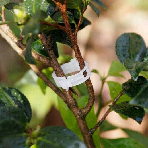 100Pcs Tomato Greenhouse Garden Plant Support Veggie Clips Trellis Twine