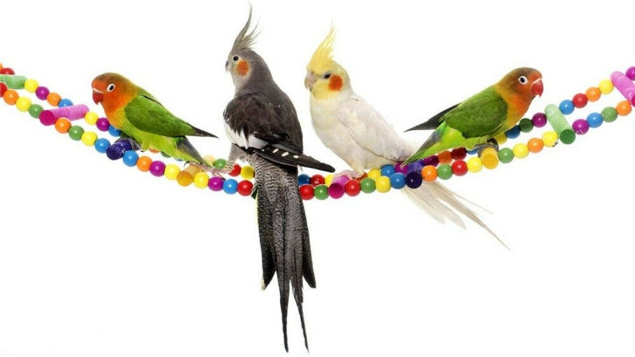 10PCS Parrot Hanging Swing Bird Toy Harness Cage Ladder Parakeet