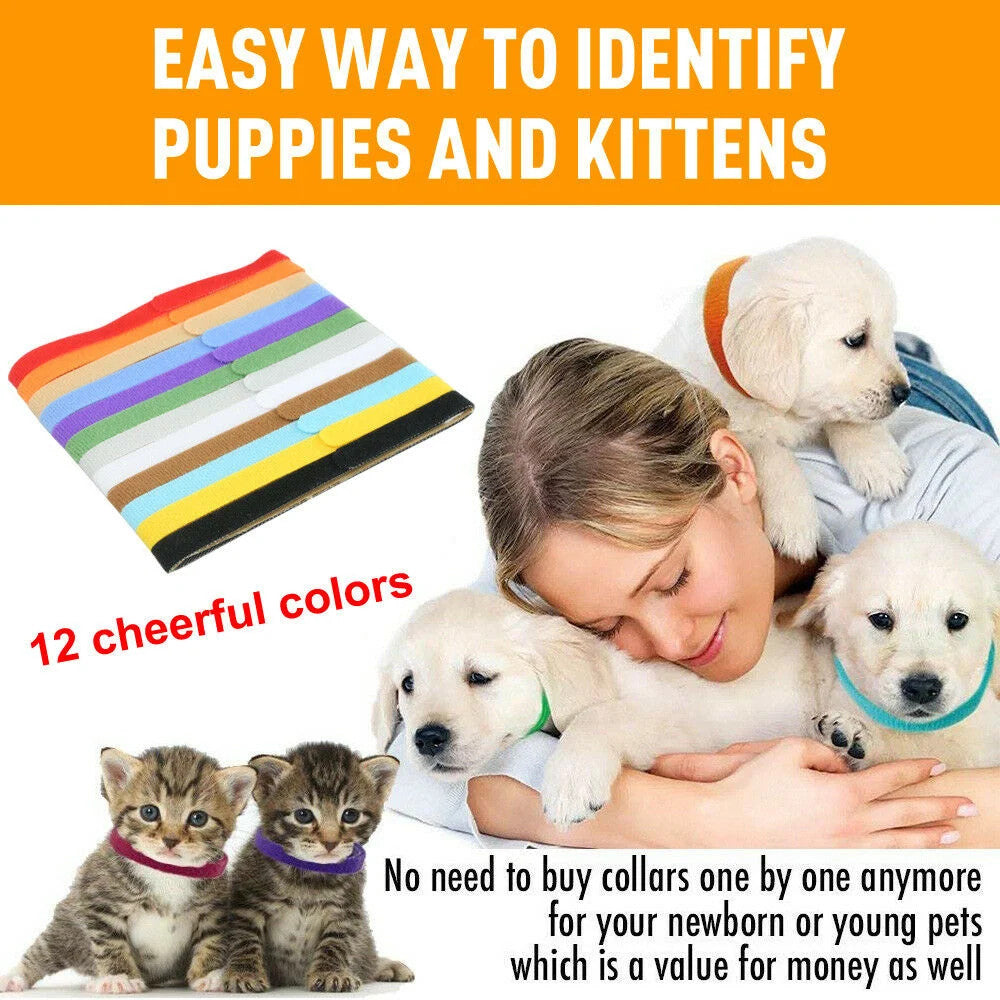 12 Colours Whelping ID Collar Bands Pet Puppy Kitten Identification Collar Tags
