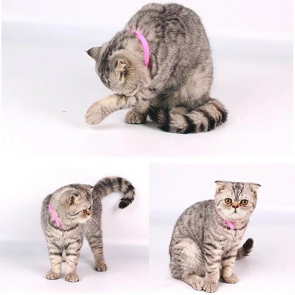 12 Colours Whelping ID Collar Bands Pet Puppy Kitten Identification Collar Tags