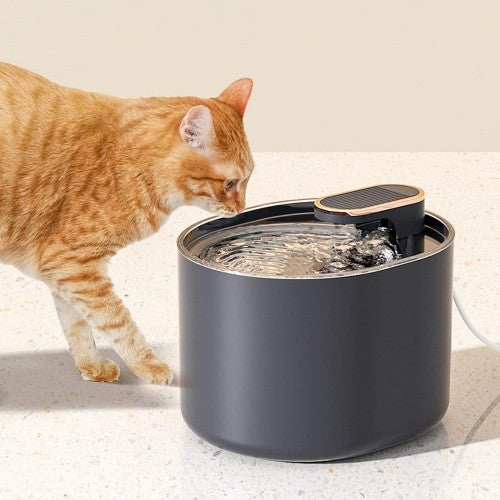 Cat Water Fountain 3L