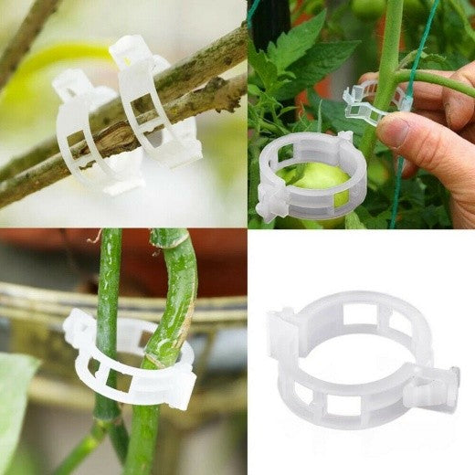 100Pcs Tomato Greenhouse Garden Plant Support Veggie Clips Trellis Twine