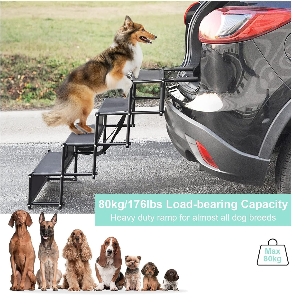 Folding Dog Stairs for SUV Car