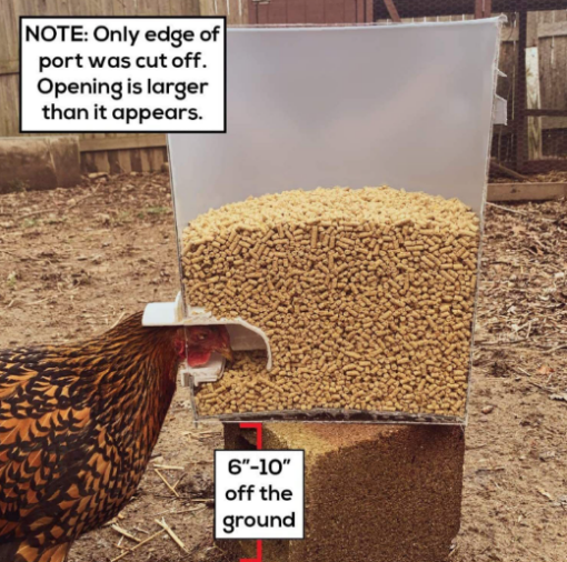 Poultry Pro Feeder Chicken Feeder