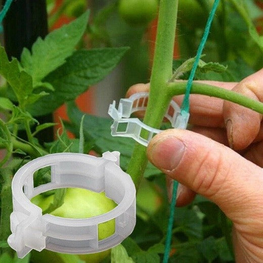100Pcs Tomato Greenhouse Garden Plant Support Veggie Clips Trellis Twine