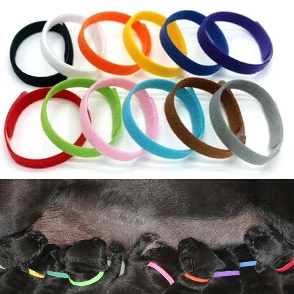 12 Colours Whelping ID Collar Bands Pet Puppy Kitten Identification Collar Tags