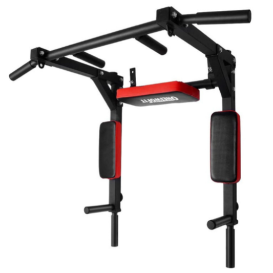 Pull Up Bar and Dip Station