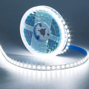 2835 24V 5M LED Strip Light Cool White 120LED/M 600LEDs SMD